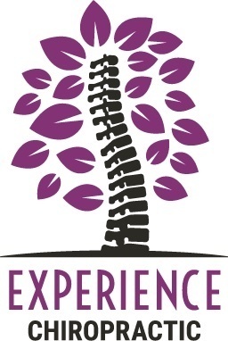 Experience Chiropractic